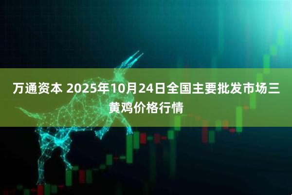 万通资本 2025年10月24日全国主要批发市场三黄鸡价格行情
