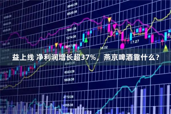 益上线 净利润增长超37%，燕京啤酒靠什么？